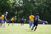 OTFL Gallery Image